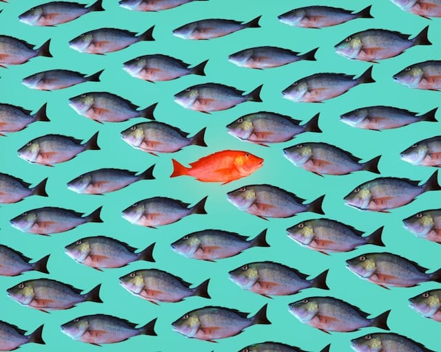 7-9 of 12 popular logical fallacies.